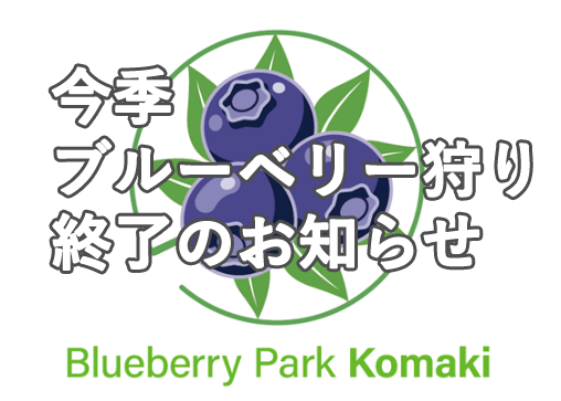 【ブルーベリー狩り終了のお知らせ】