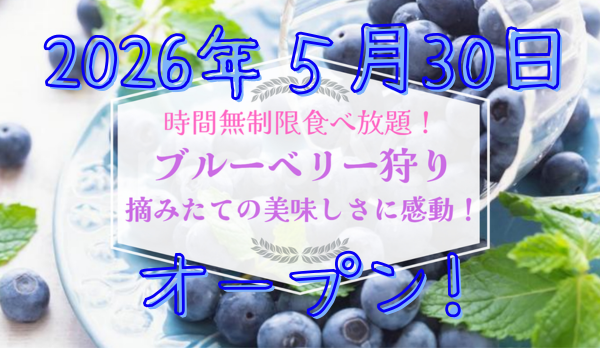 新着情報の画像