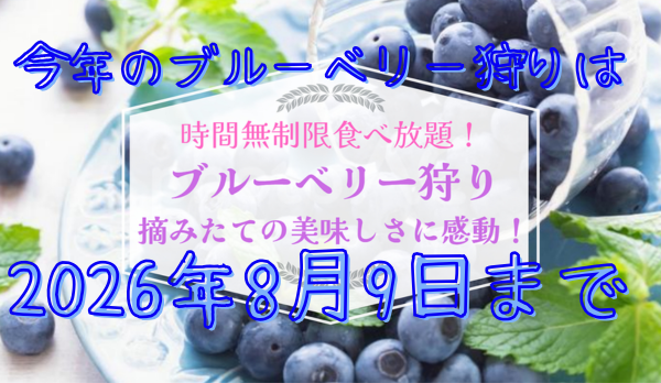 ブルーベリー狩り終了日のお知らせ